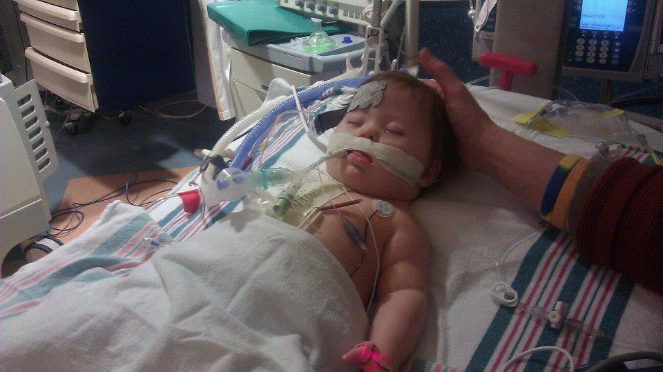 Decorative duck figurine displayed on stacked books next to brass pineapple accents.