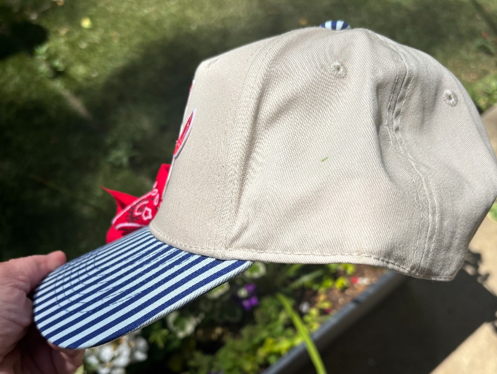 Blue Striped Lobster Trucker Hat