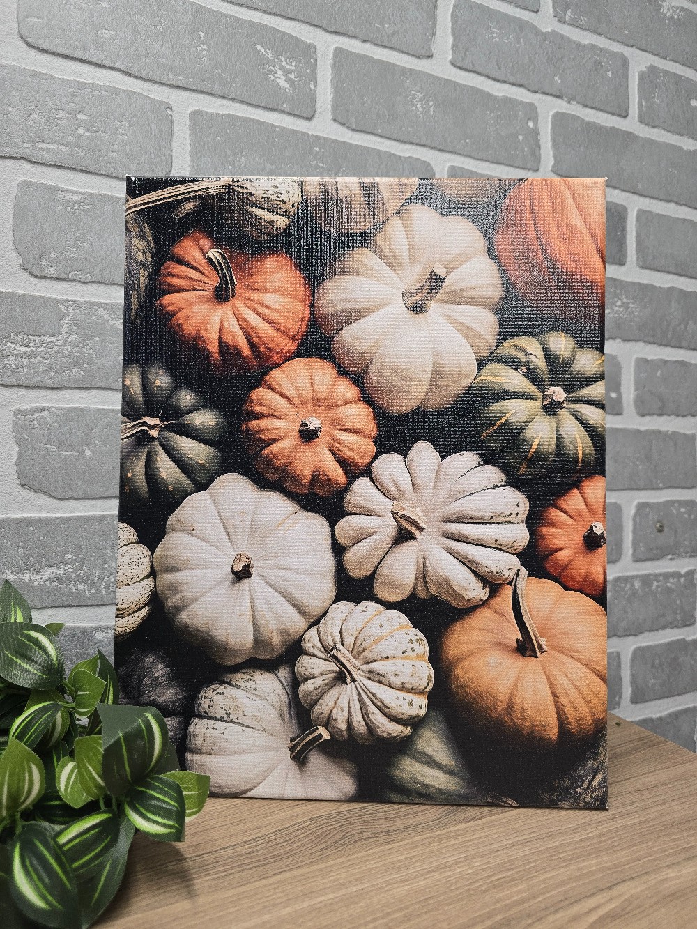 Pumpkin Collection wrapped Canvas 8 x 10