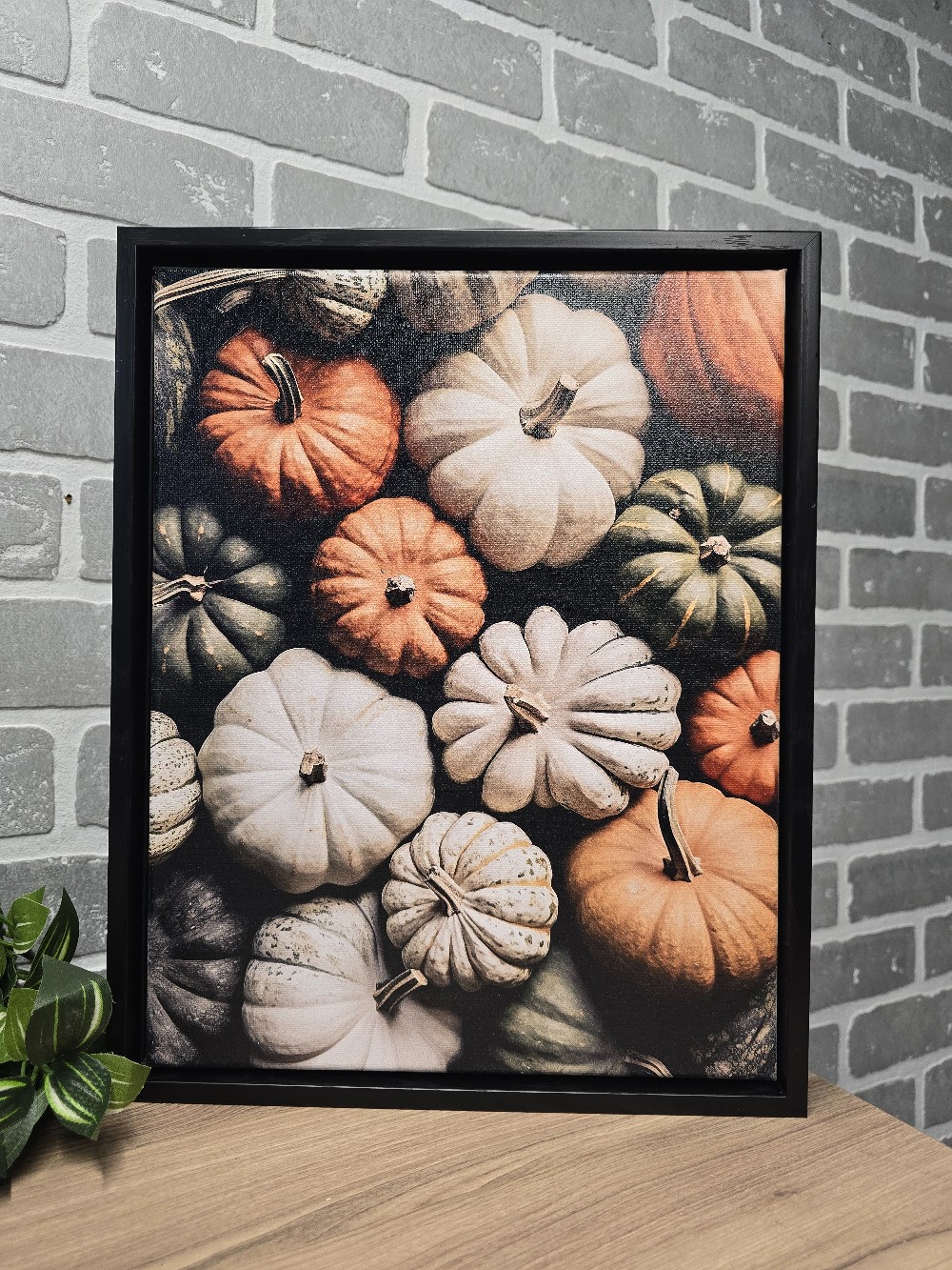Pumpkin Collection Framed Canvas 11x 14