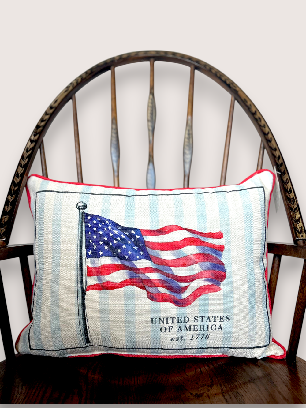 United States of America Throw Pillow