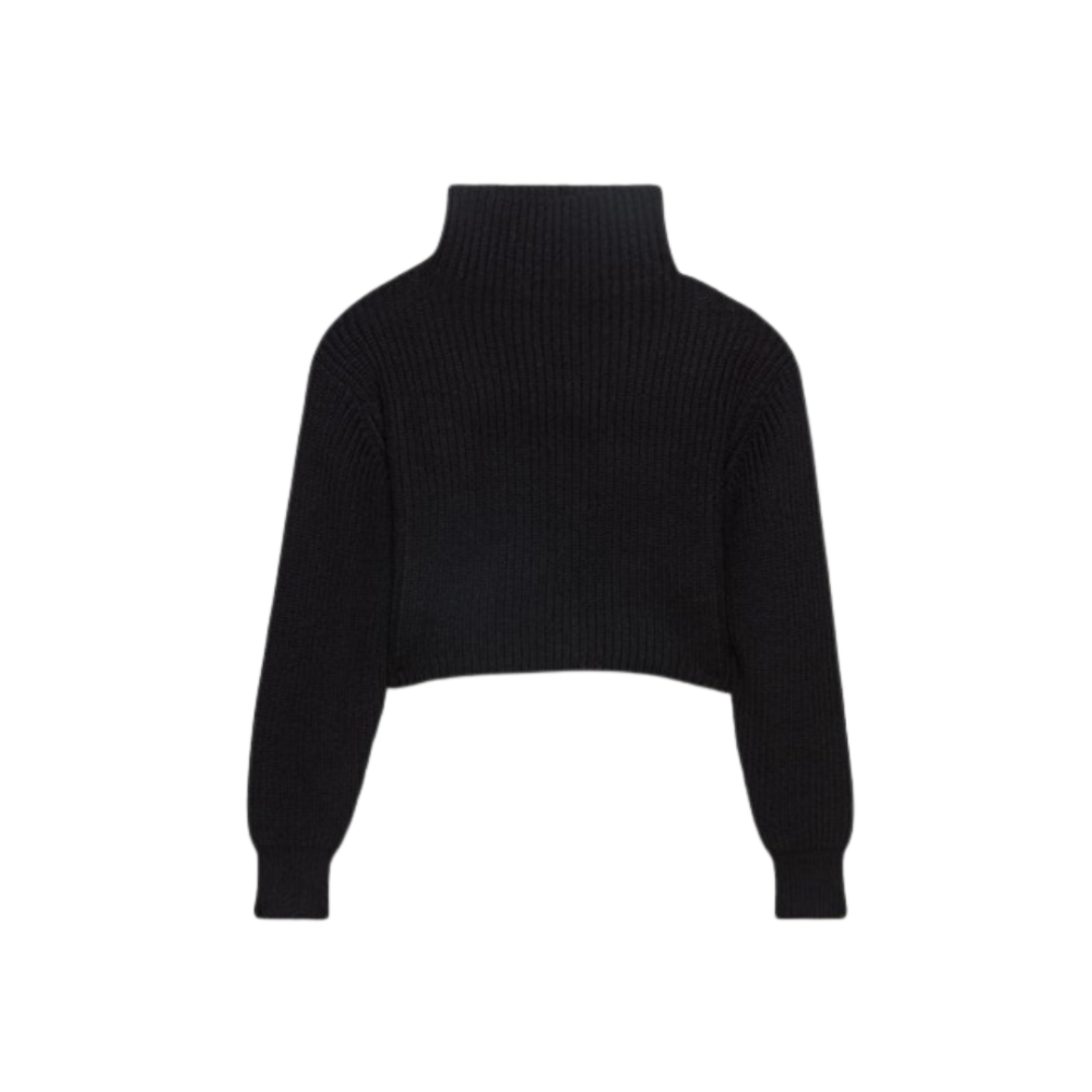WILFRED Montpellier Merino Wool Cropped Turtleneck XS