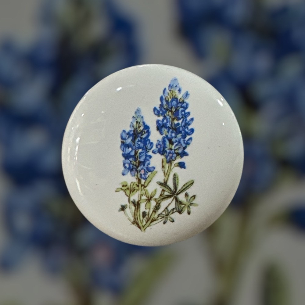 Texas Bluebonnets
