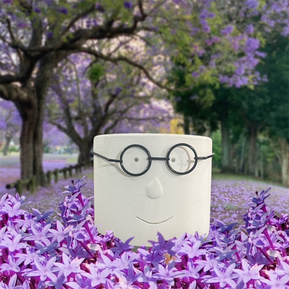 Smart Man in Glasses Planter