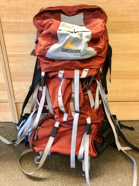 gregory palisade backpack