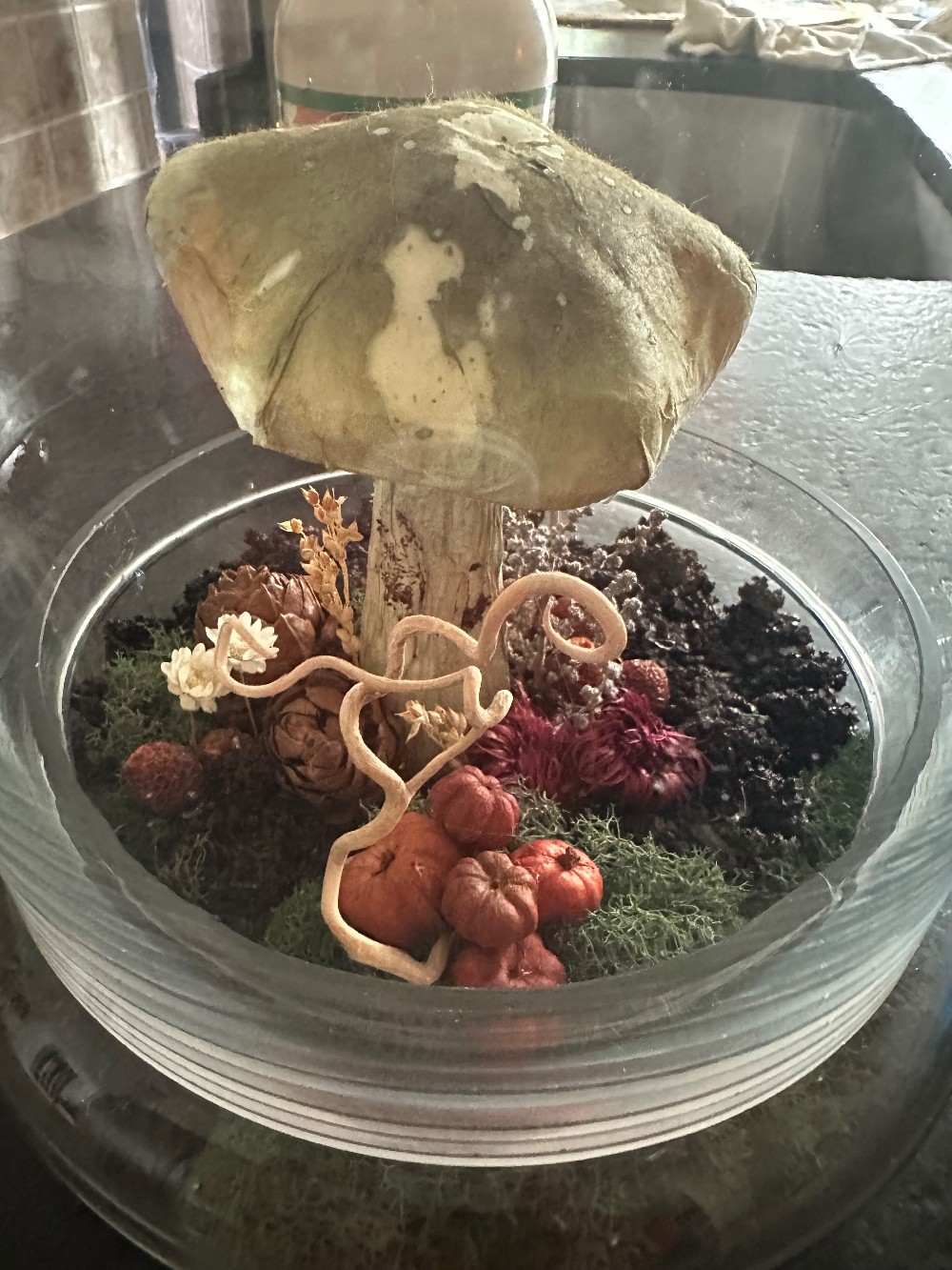 Woodland scene in terrarium cloche