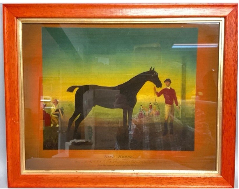 King Herod - Race Horse  #5071312  LEE   G3