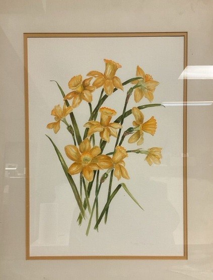 Watercolor of spring Daffadils - Framed/Matted