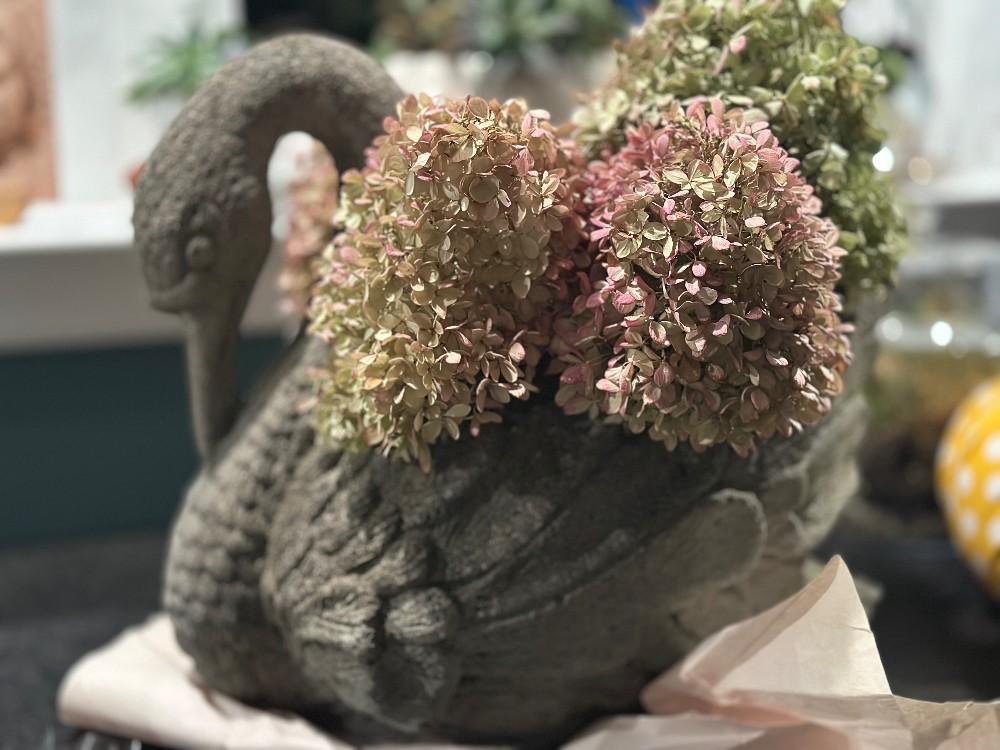 Concrete swan planter w/dry hydrangeas