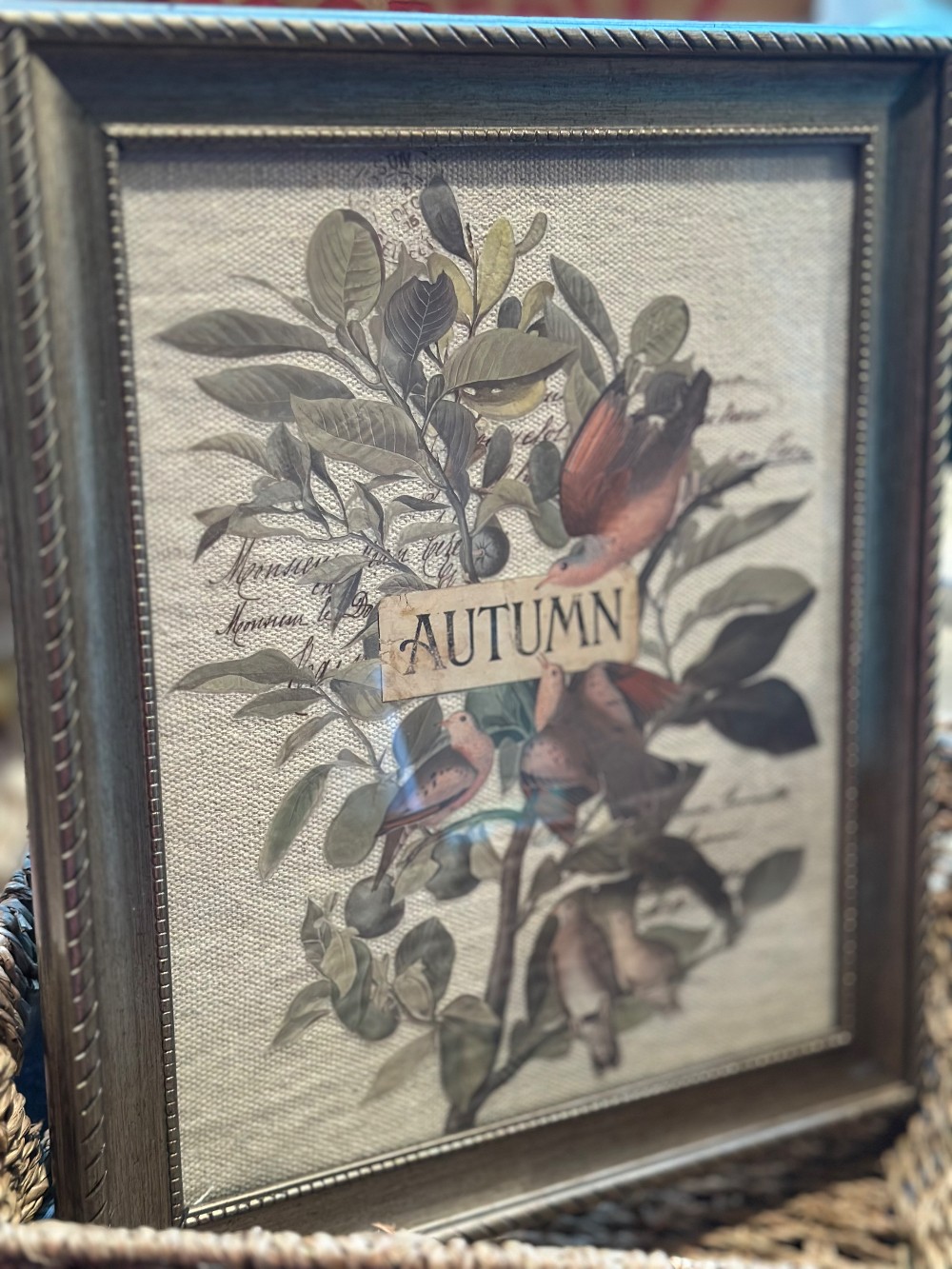 8x10 frame with bird botanical transfer on canvas