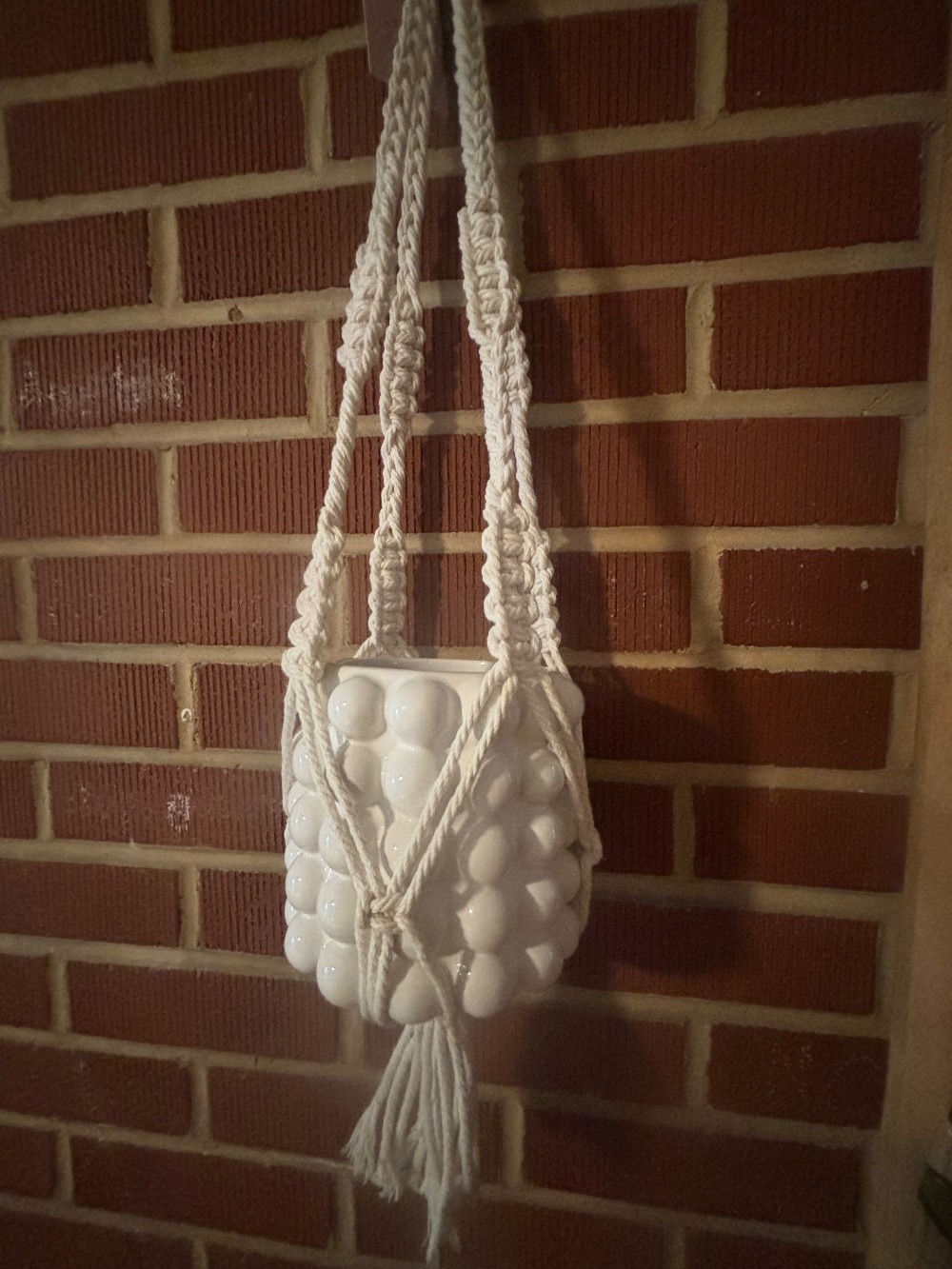 Plant hanger includes pot