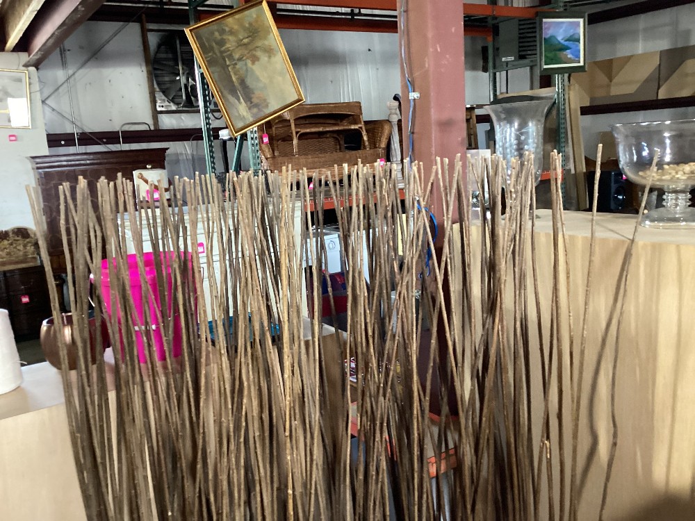 Brown Willow