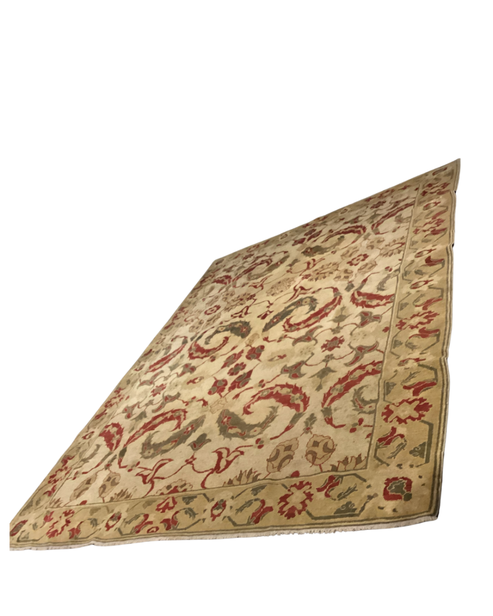 Arturo Persian Traditional Floral Ivory Hand Knotted wool rug