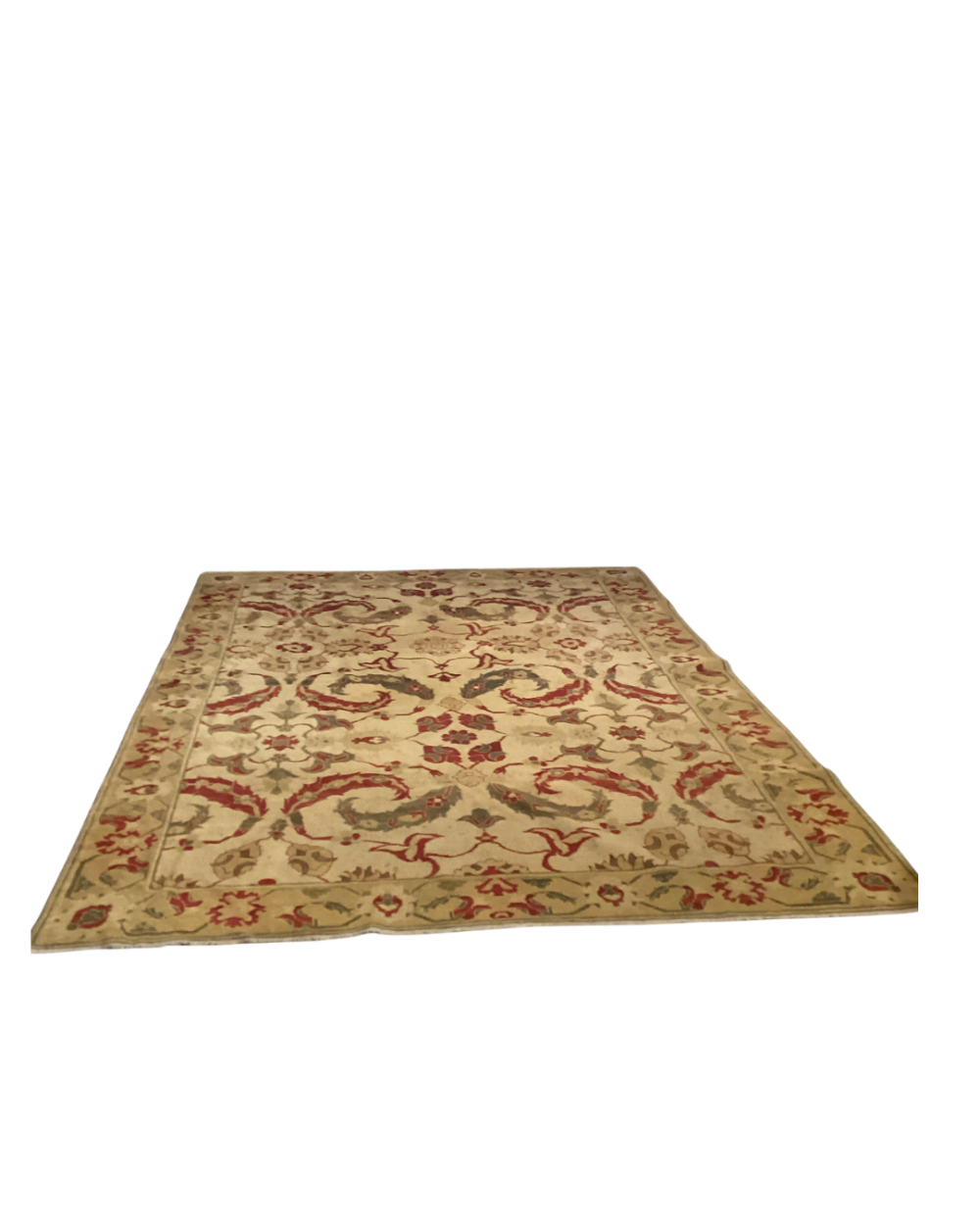 Arturo Persian Traditional Floral Ivory Hand Knotted wool rug