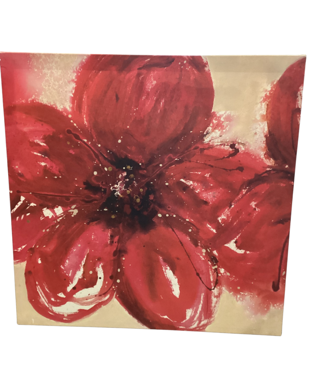 IKEA PJÄTTERYD Hot House Reds