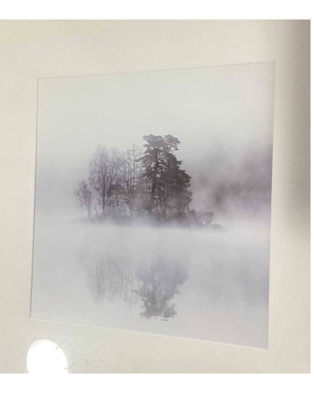 Winter Fog black and white photograph