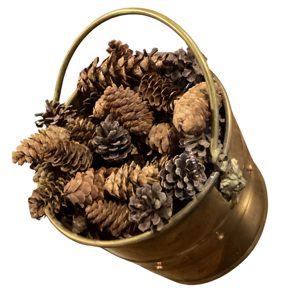 Antique brass bucket with pinecones
