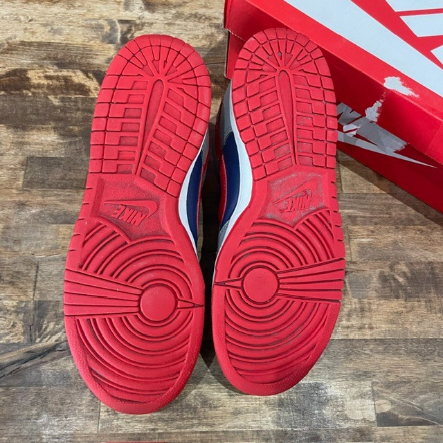 Dunk Low Samba - Size 9.5