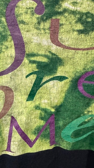 FW17 Supreme Venus Tee - L