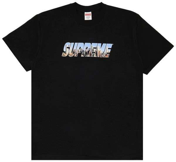 FW23 Supreme Gotham Tee - L
