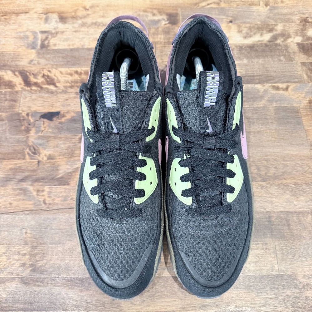 Air Max 90 Terrascape Elemental Pink - Size 11.5