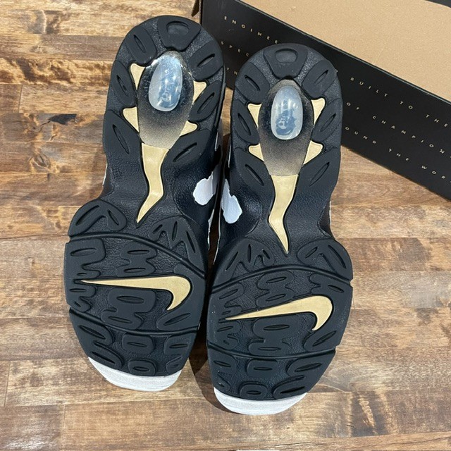 Nike Air DT Max 96 Colorado Away - Size 8.5