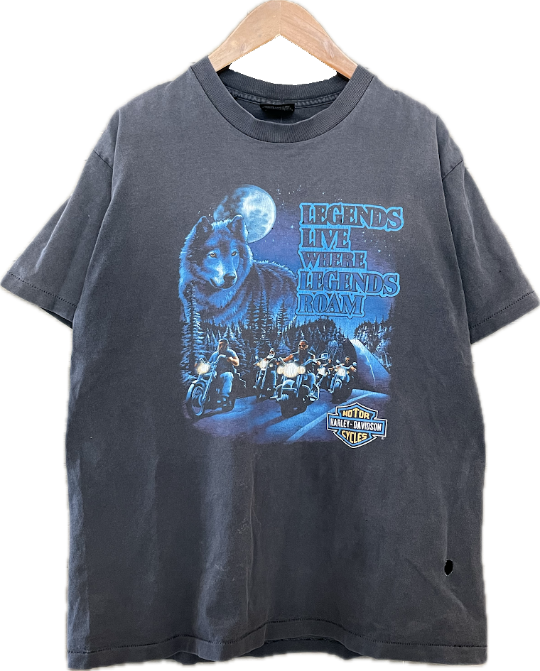 1991 Harley Cape Cod Tee - L