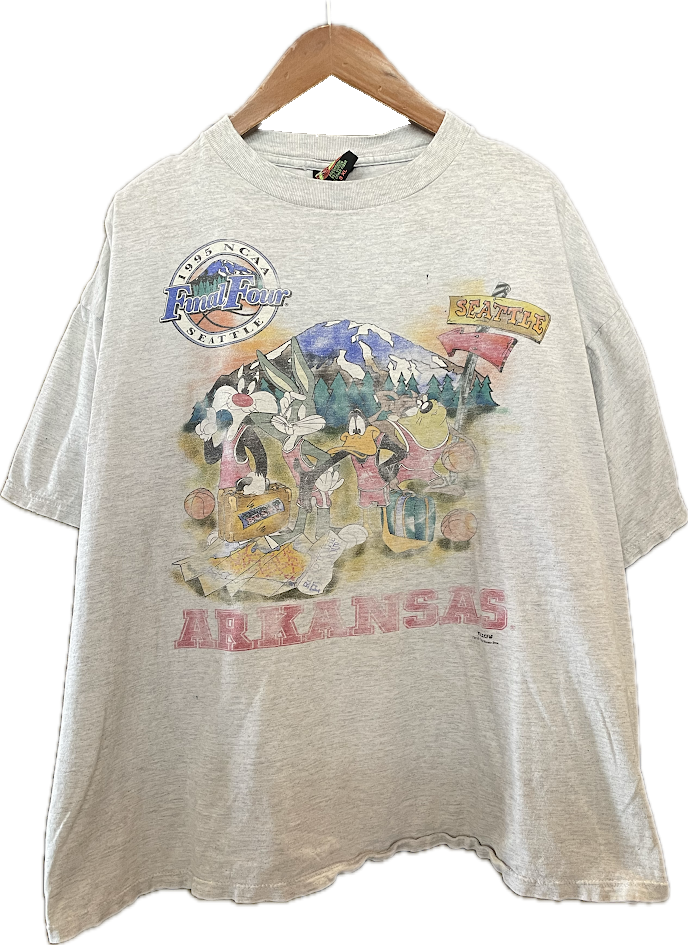 1995 Arkansas Razorbacks Final Four x Looney Tunes Tee - 3XL