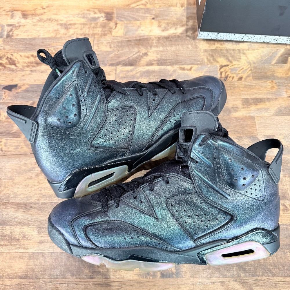 Jordan 6 Retro Chameleon - Size 11.5