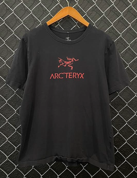Arctery'x Fossil + Logo Tee - L