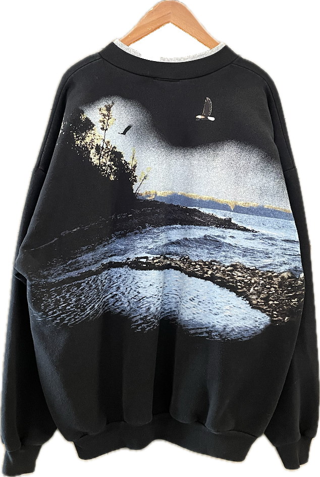 90s Art Unlimited Eagle Henley Crewneck - XL