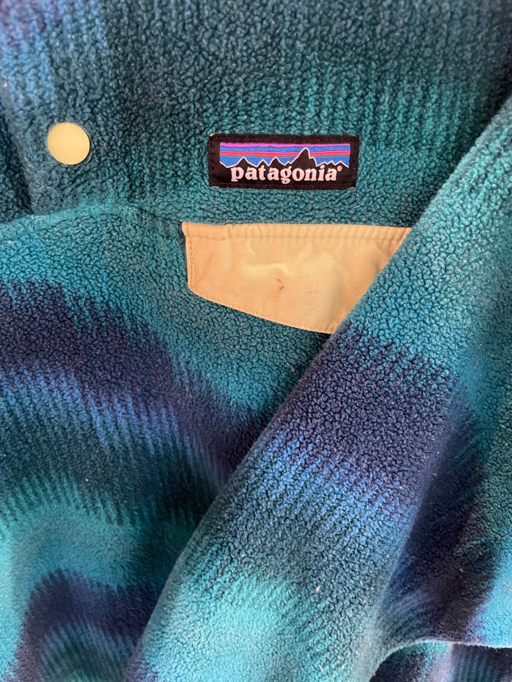 Y2K Patagonia Synchilla Snap Fleece - M