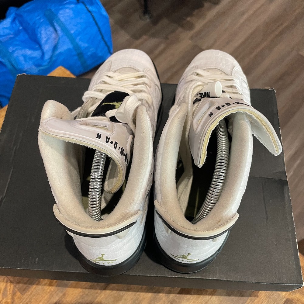 Jordan 6 Alligator (replacement box) - Size 6.5Y