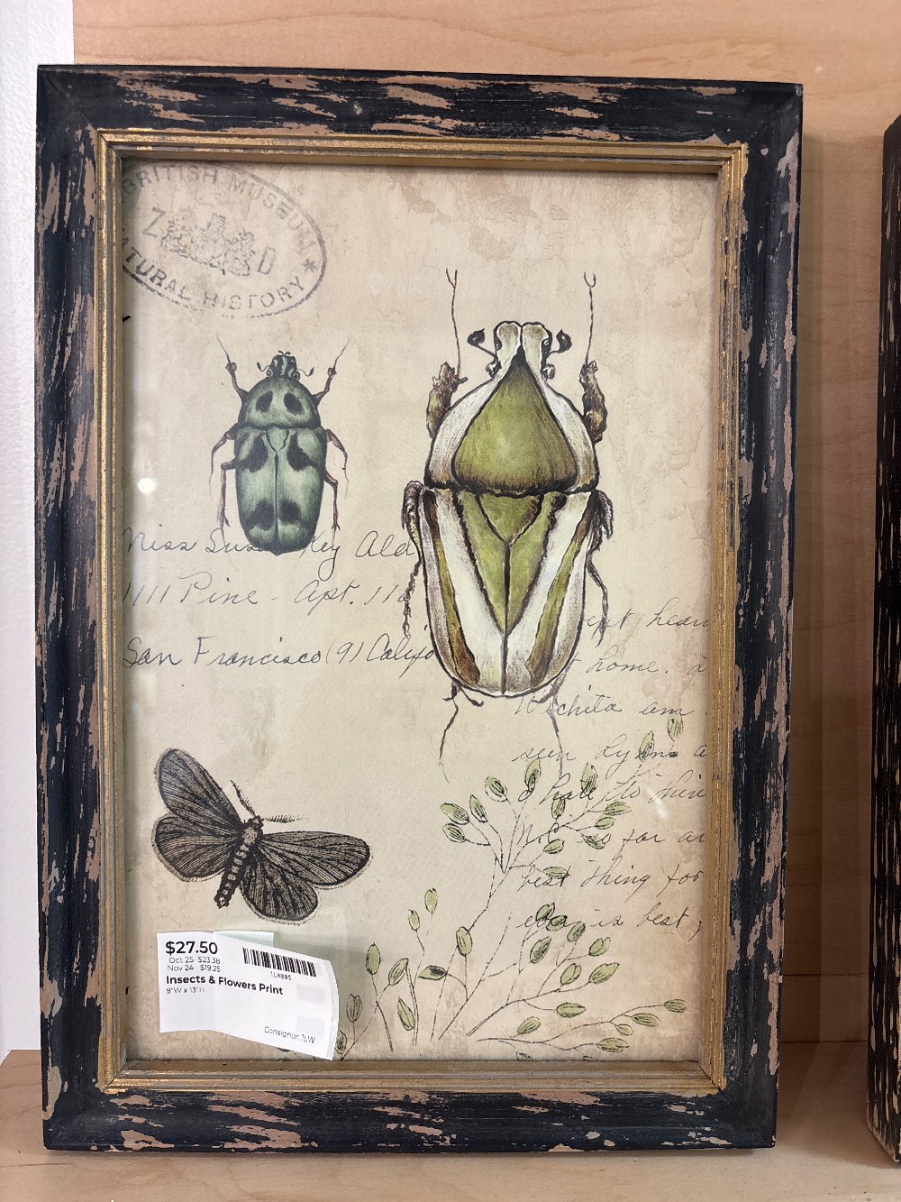 Insects & Flowers Print
