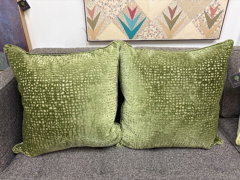 Callisto Home Embossed Velvet Throw Pillows, Pair