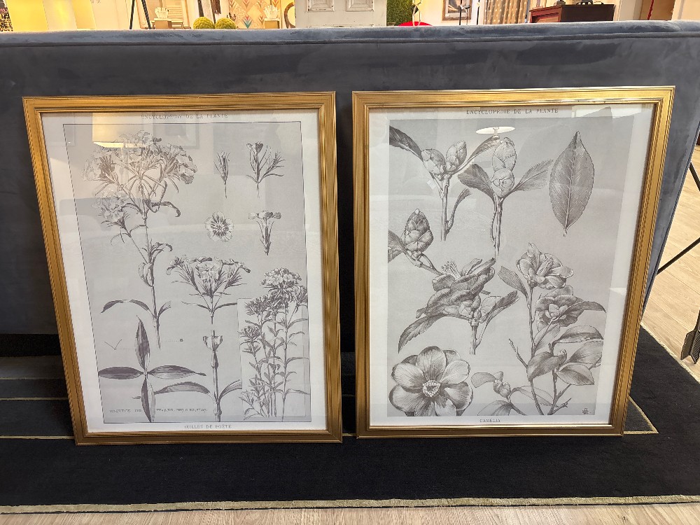 Vintage Style Black & White Botanical Prints, Pair