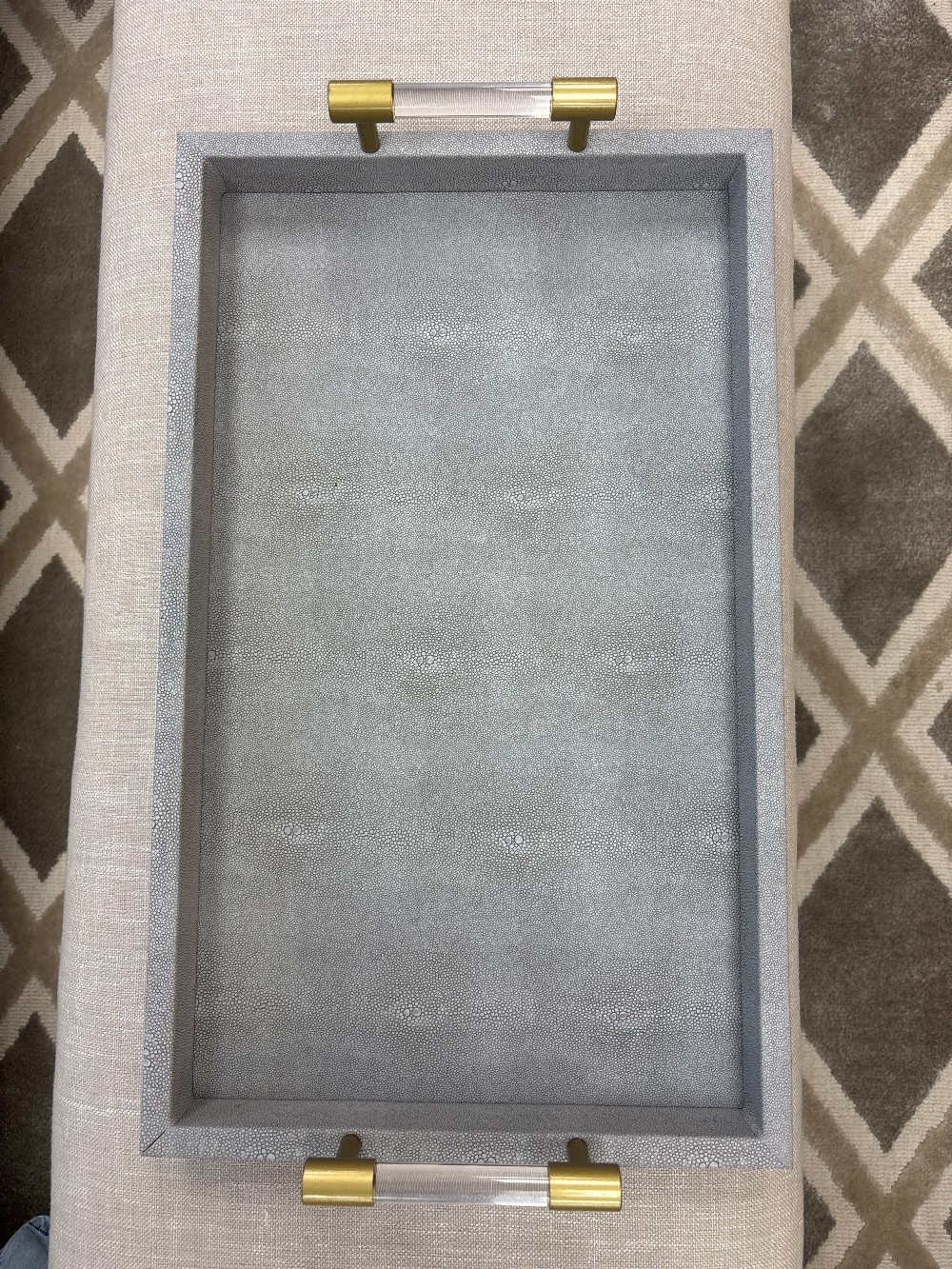 Acrylic Handle Faux Shagreen Tray