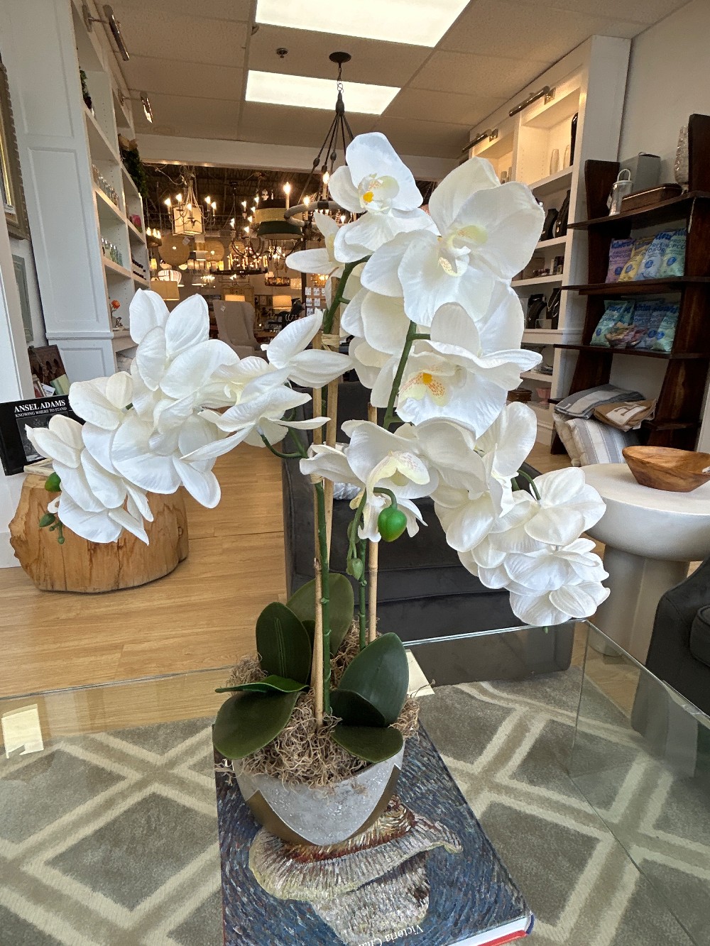 Faux Orchid in Gold Accented Ceramic Planter