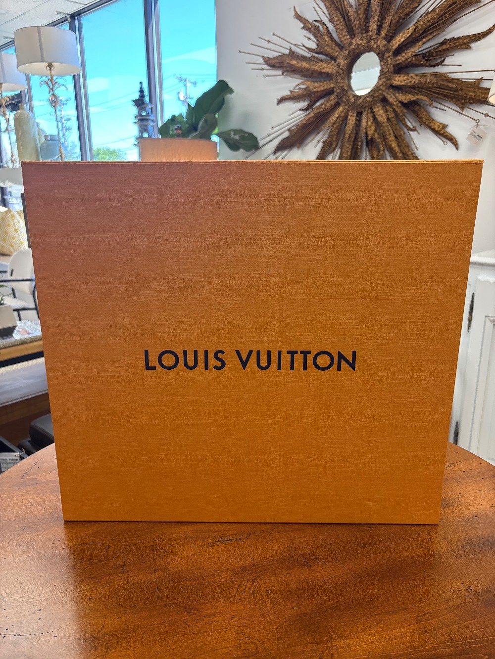 Louis Vuitton Purse/Gift Box