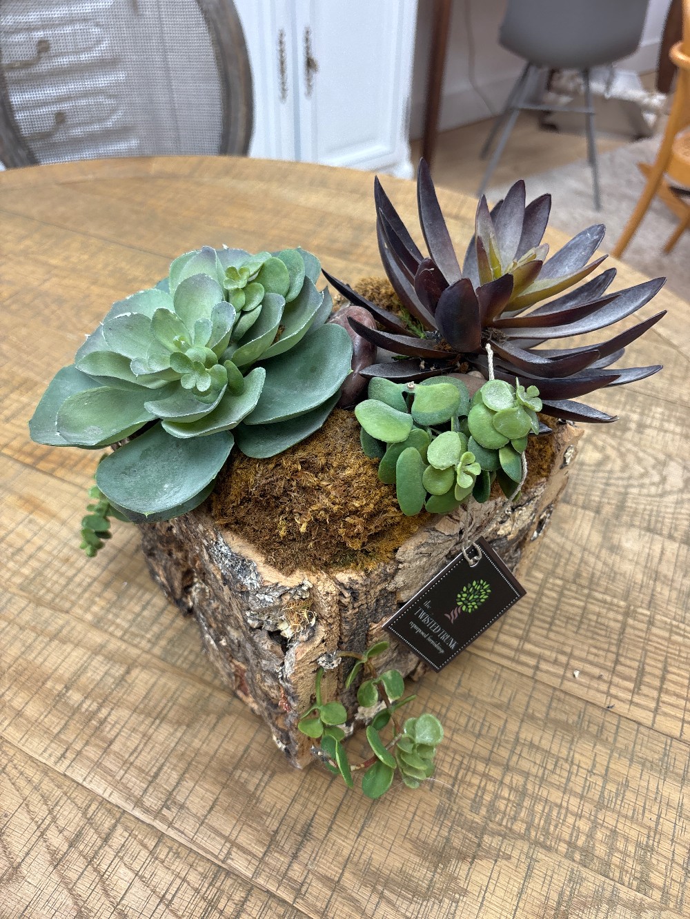 Restoration Hardware Cork Bark Faux Succulent Planter