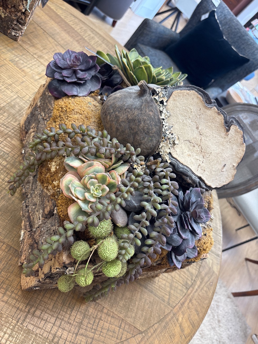 Restoration Hardware Cork Bark Faux Succulent Planter