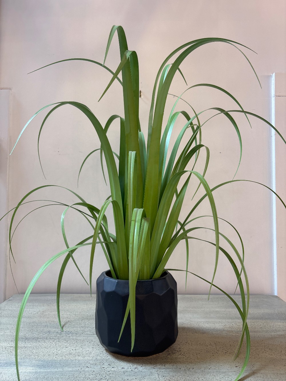 Reed Grass in Black Faceted Bowl
