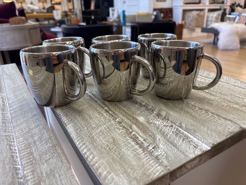 Stainless Steel Double Walled Mugs - Set of 6