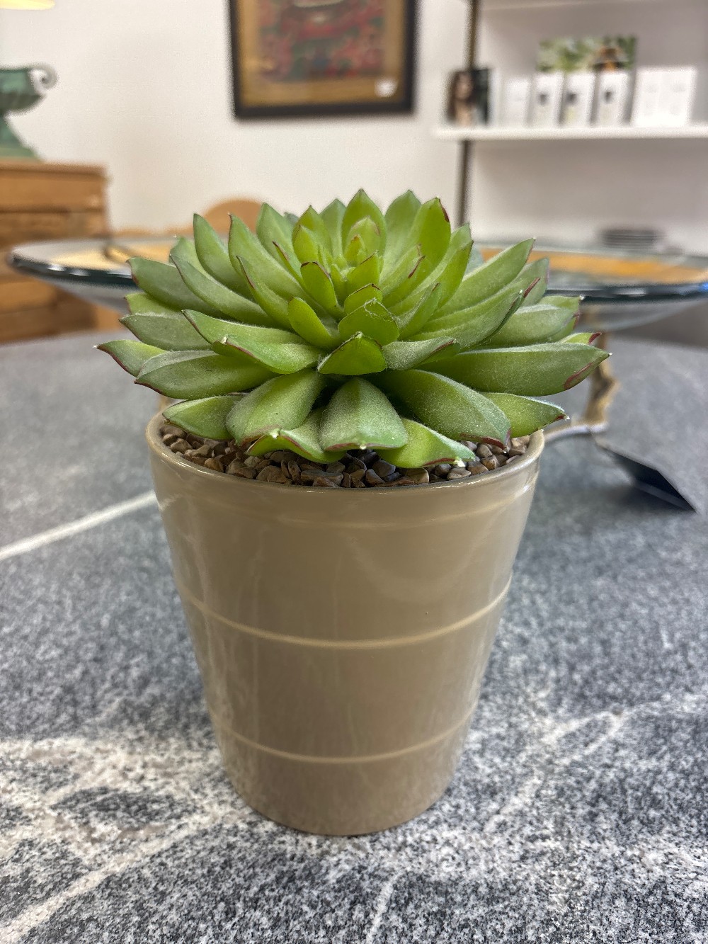Faux Succulent in Ceramic Planter