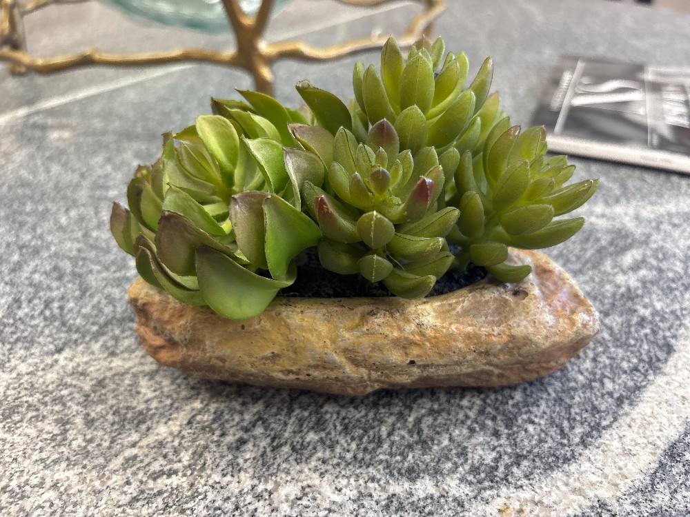 Pottery Barn Stone Pot Faux Succulent