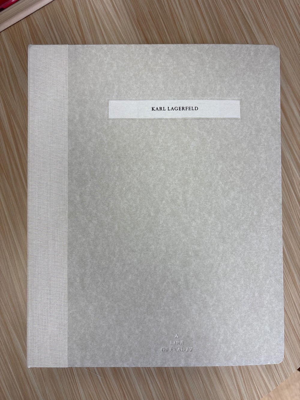 Karl Lagerfeld: A Line of Beauty Book