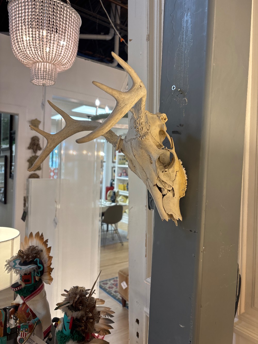 Vintage Deer Skull with Antlers