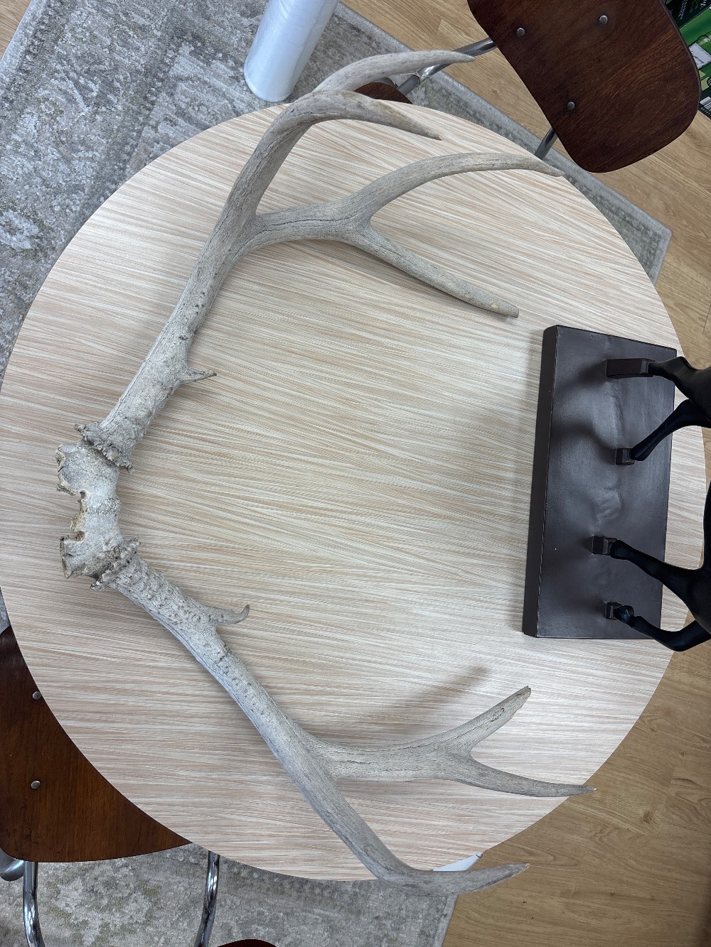Vintage Deer Antlers