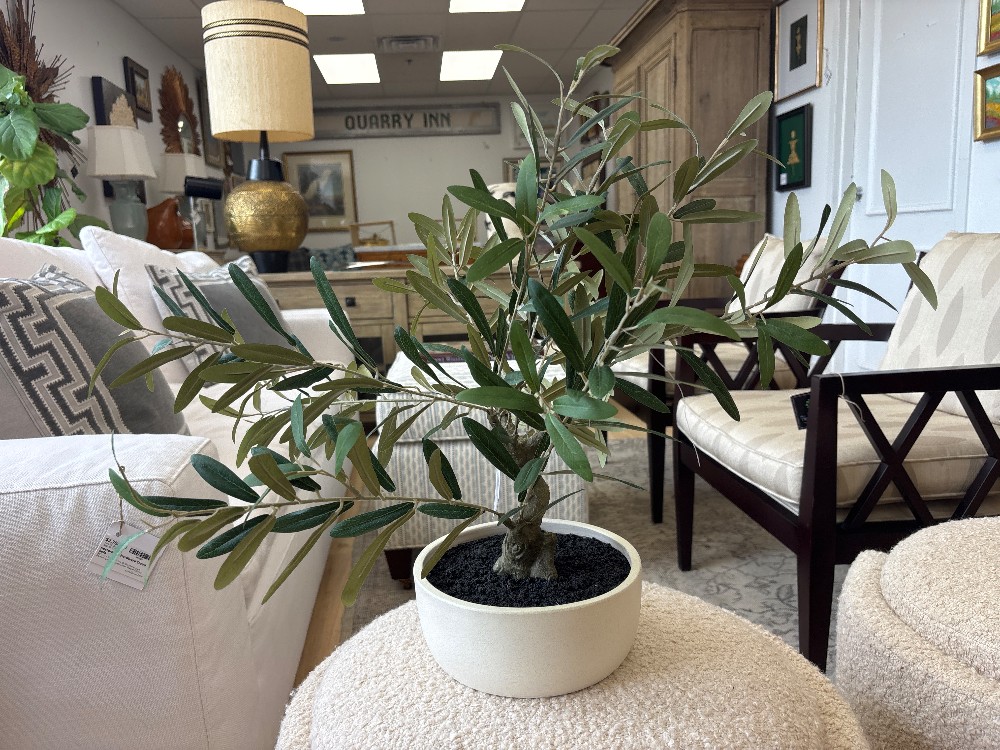 Crate & Barrel Potted Faux Olive Tree