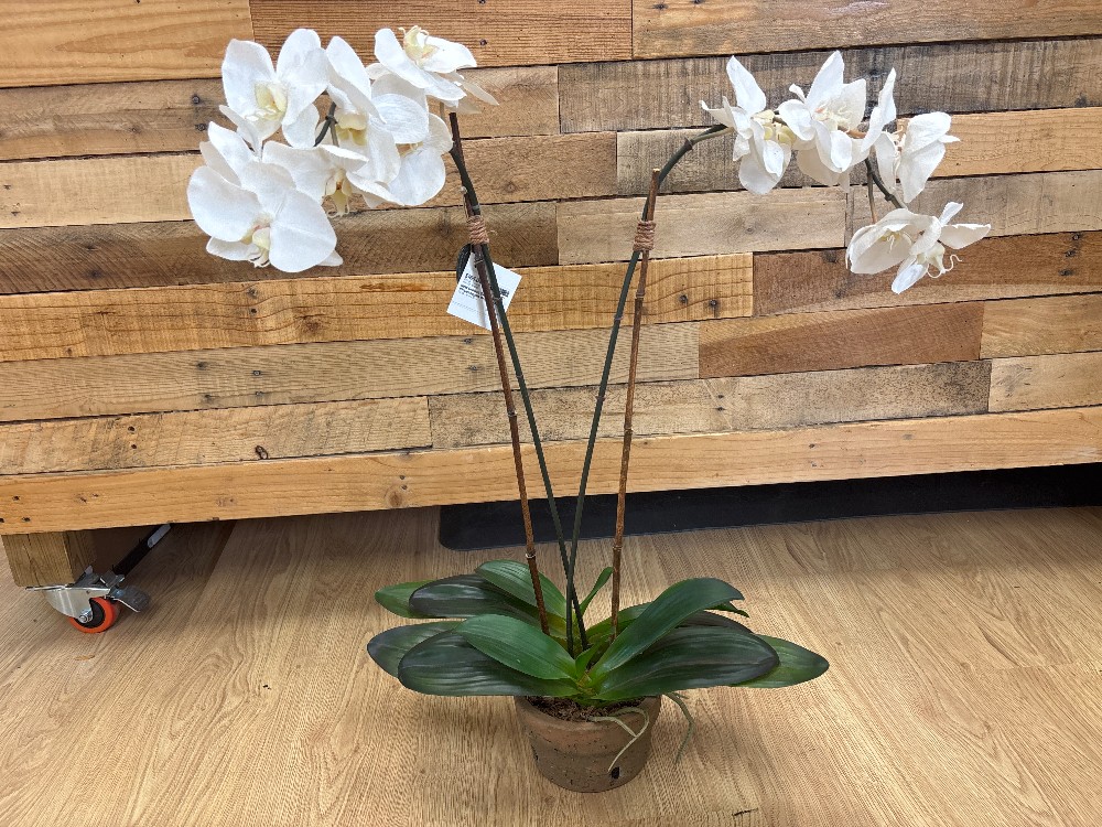 New Growth Designs Faux Phalaenopsis Orchid in Pot